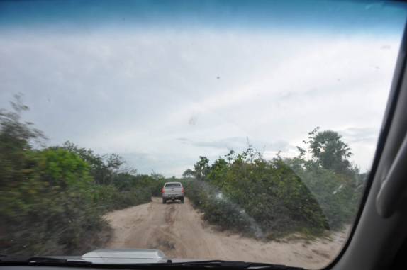 Trilha de acesso à Jericoacoara - CE
